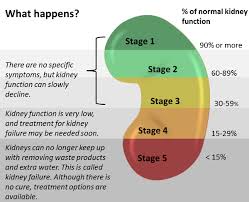 Stages Of Kidney Failure Kidney Disease Stages Kidney