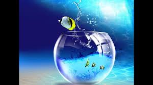 Download, share or upload your own one! Live Background For Laptop 1280x720 Download Hd Wallpaper Wallpapertip