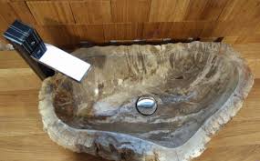 petrified wood sinks fossil wash