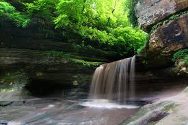 Why rent a single room when you could have the whole house? 8 Best Starved Rock Waterfalls You Have To See Wapiti Travel