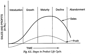 Product Life Cycle Stages Examples Strategies Definition