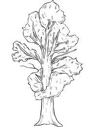 Edit your post published by jthre. Fall Tree Printable Coloring Page Free Printable Coloring Pages For Kids