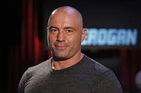 As you can see, joe was just an ordinary man but talented, and when he decided to explore his talent, then success followed him. Joe Rogan S Height Wife Kids And Net Worth The Modest Man