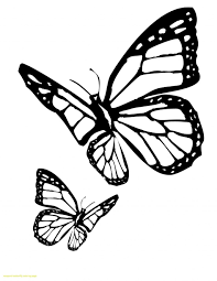 25 Amazing Photo Of Butterflies Coloring Pages Davemelillo Com Butterfly Coloring Page Butterfly Drawing Outline Butterfly Outline