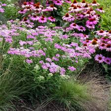 Take a look at this great list of garden centers located in central iowa. Flower Vegetable Plants In Ia Il Peters Greenhouse Garden Center
