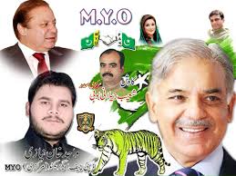 Social Media Muslim Youth Organization Pakistan & International Official