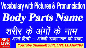 Guess the name of the body parts on these cards and then click ⬤ writing test with pictures about body parts. English Vocabulary Body Parts Name With Picture And Hindi Meaning à¤¶à¤° à¤° à¤• à¤… à¤— à¤• à¤¨ à¤® Youtube