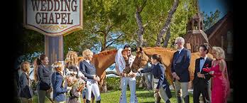 Elegant and intimate victorian wedding chapel. Horse Wedding With This Carrot I Thee Wed Huffpost