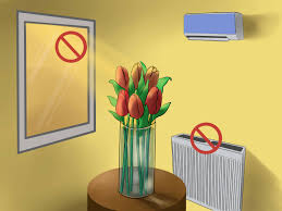 Van briggle tulip bulb vase ming blue. How To Care For Fresh Cut Tulips 12 Steps With Pictures