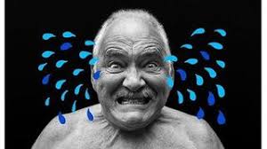 Articles by Sammy Maine