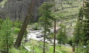 Maybe you would like to learn more about one of these? Tower Falls Campground Yellowstone Camping Alltrips