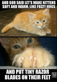 Pin By Atxjazz On Cat Humor Warrior Cat Memes Funny Animal Pictures Funny Animal Jokes