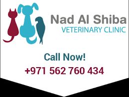 Use this form to request an appointment with us. Nad Al Shiba Veterinary Clinic