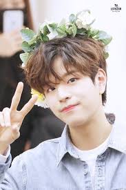 Image result for stray kids flower crown