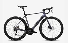 Image result for Orbea knobelii