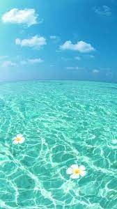Beach Beachlife Sea Vitaminsea Ocean Paradise Nature Atthebeach Capitalteeth Ocean Wallpaper Landscape Wallpaper Summer Wallpaper