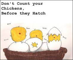 May 2017 Don T Count Your Eggs Before They Hatch Our English Blog