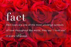Find out the meaning behind popular valentine's day flowers. Know Your Rose Meanings Give The Right Rose Fresh By Ftd Rose Meaning Rose Color Meanings Rose Quotes
