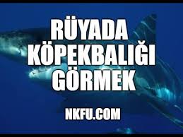 Ruyada Kopekbaligi Gormek Ne Anlama Gelir Youtube