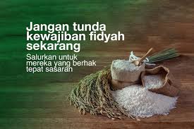 Fidyah secara bahasa artinya menebus dan mengganti. Dompet Dhuafa