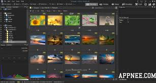 Please provide the following information to unlock your license key. V15 0 V7 1 Acdsee Prestigious All In One Digital Photo Viewer Editor Organizer Appnee Freeware Group
