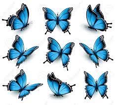 Resultado De Imagen Para Fotos Mariposas Azules Blue Butterfly Tattoo Butterfly Tattoo Designs Blue Butterflies
