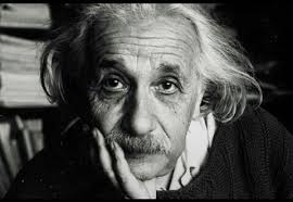 Nan Nan Shin (@NanNanshin)