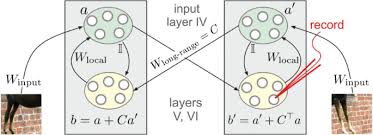 Family support center specializes in the assessment, diagnosis, and treatment of autism spectrum disorder. 27th Annual Computational Neuroscience Meeting Cns 2018 Part One Bmc Neuroscience Full Text