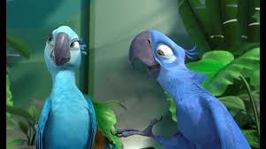 Find local classified ads for birds in the uk and ireland. Blue Macaw Parrot That Inspired Rio Now Extinct In Wild 10tv Com