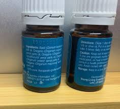 Image result for Ocimum minutiflorum