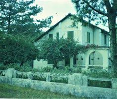 Image result for mimosa in old dalat