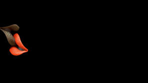 Needed to showcase the community aspect of the newspaper through the us развернуть. Twitter Header Wallpapers Top Free Twitter Header Backgrounds Wallpaperaccess