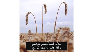 Pin On Arabic Words