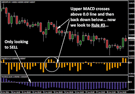 Double Macd Trading Trading Quotes Stock Market Forex Trading