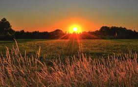 Everything you need to know about today's weather in 2 mai, constanța, românia. Prognoza Meteo 8 Aprilie 4 Mai 2020 Ce Se IntamplÄƒ Cu Vremea In È›arÄƒ InformaÈ›ii Noi De La Anm Impact