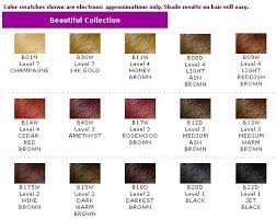 Brown Hair Color Chart Clairol Natural Hair Dye 2018