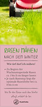 Mähen und mähintervalle sind stark von der jahreszeit abhängig. Pin Auf Imacenter Ideen