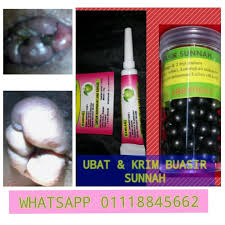 The word gamat, the malay word for sea cucumber, refers to medicinal remedies derived from several species of the holothuroidea family. Ubat Buasir Sunnah Dan Krim Buasir Ubat Buasir Sunnah Facebook