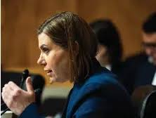 Democratic troubles lead to debate over buzzwords