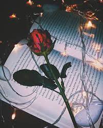 Maybe you would like to learn more about one of these? Gambar Bunga Mawar Instagram