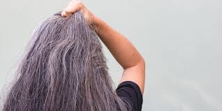Does stress really turn hair gray? Does Stress Cause Gray Hair It May Lead To Premature Graying