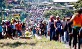 The flight was the first under the international organization for migration's voluntary humanitarian return (vhr) programme since the outbreak of the pandemic. El Poder De La Migracion Indocumentada Viento Sur