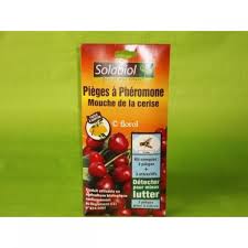 Piege A Pheromone Mouche De La Cerise Solabiol Vente Et Achat En Ligne Florol