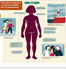 Formación cívica y ética l escuela: Https Media Educacioncampeche Gob Mx File File F16cb0d8d2f0e1d60a8d0b4d3f766eee Pdf