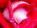 Check spelling or type a new query. Cartoline Fiori