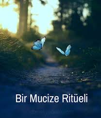 Mucizelere Inanmayi Neden Biraktik Oyle Ya Cok Mantikli Hayatlarimizin Icinde Mucizelerin Ne Isi Var Hepsi Hayal Meditasyon Muzigi Hayat Cakra Meditasyonu