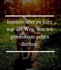 27 Gefuhlvolle Trauerspruche Fur Hunde Finestwords