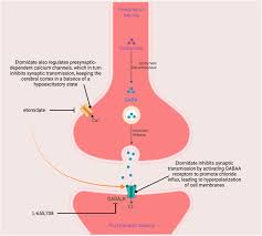 Image result for Etomidate