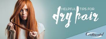 Excessive heat, too much hair product, etc. Helpful Tips For Dry Hair Continental School Of Beauty
