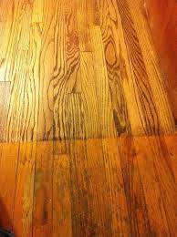 Review Mr Sandless Refinishing Floors Flooring Beautiful Wood